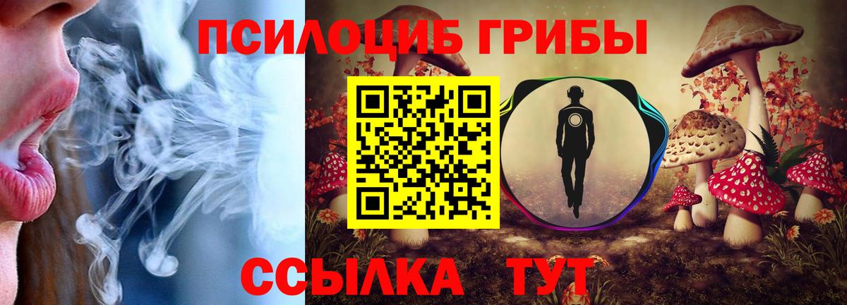 Галлюциногенные грибы мицелий  Вход с VPN  Ишимбай  сколько стоит  Псилоцибиновые грибы мицелий 